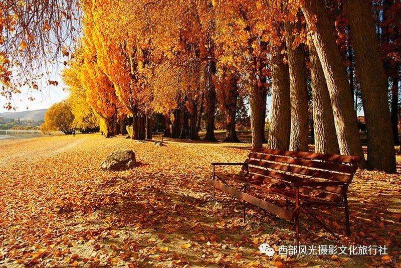 救援小棕兔